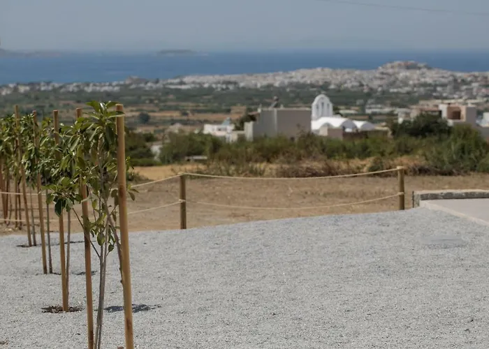 Naxos Infinity And Вилла *